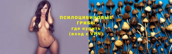 ПСИЛОЦИБИНОВЫЕ ГРИБЫ Алексин
