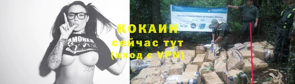 твердый Абдулино